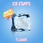 ice cube stamp