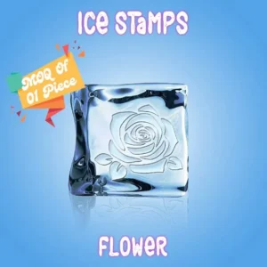 Custom Ice Stamps – Personalized Branding on Ice Cubes